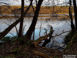 Rundweg um den Fängersee bei Strausberg