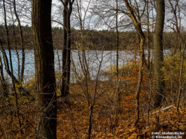 Rundweg um den Fängersee bei Strausberg