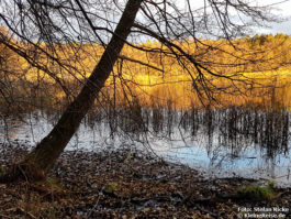 Rundweg um den Fängersee bei Strausberg