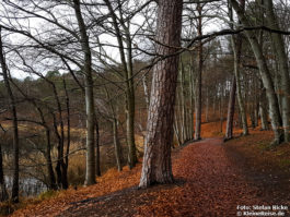 Rundweg um den Hellsee bei Lanke-Hellmühle