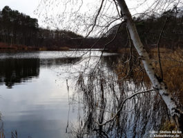 Rundweg um den Hellsee bei Lanke-Hellmühle