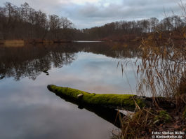 Rundweg um den Hellsee bei Lanke-Hellmühle