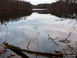 Rundweg um den Hellsee bei Lanke-Hellmühle