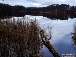 Rundweg um den Hellsee bei Lanke-Hellmühle