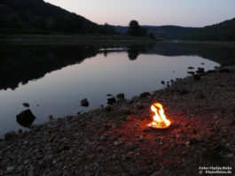 Am Ufer der Elbe in der Sächsischen Schweiz